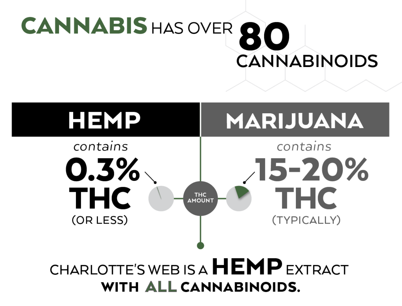 , Cannabis 101: Charlotte&#8217;s Web v Hemp Seed Oil v Marijuana