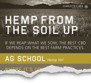 Why CBD? CW_infographic_1-final-crop | Savage Cabbage