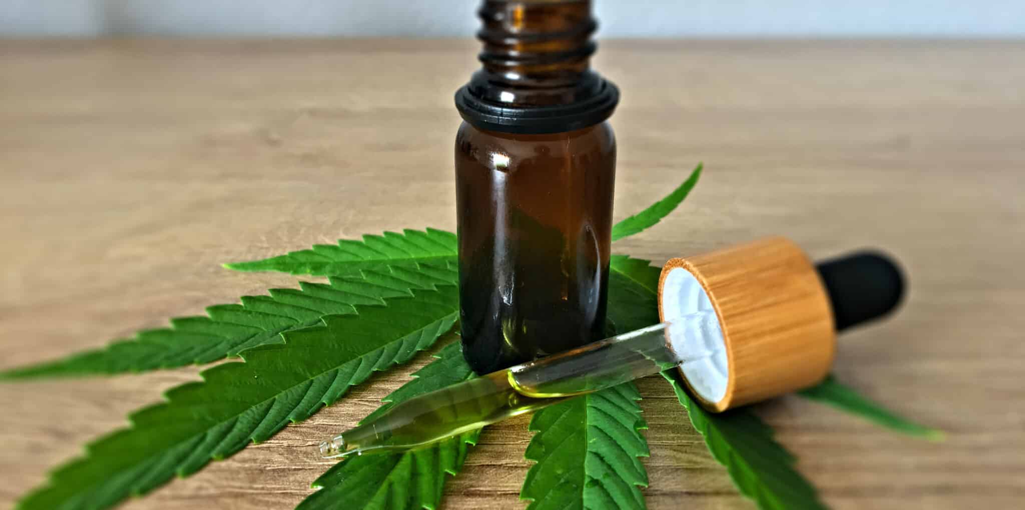 Expert tips on buying CBD oil Online dropper | Savage Cabbage
