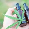 , The Ultimate Guide to CBD Laws in the UK